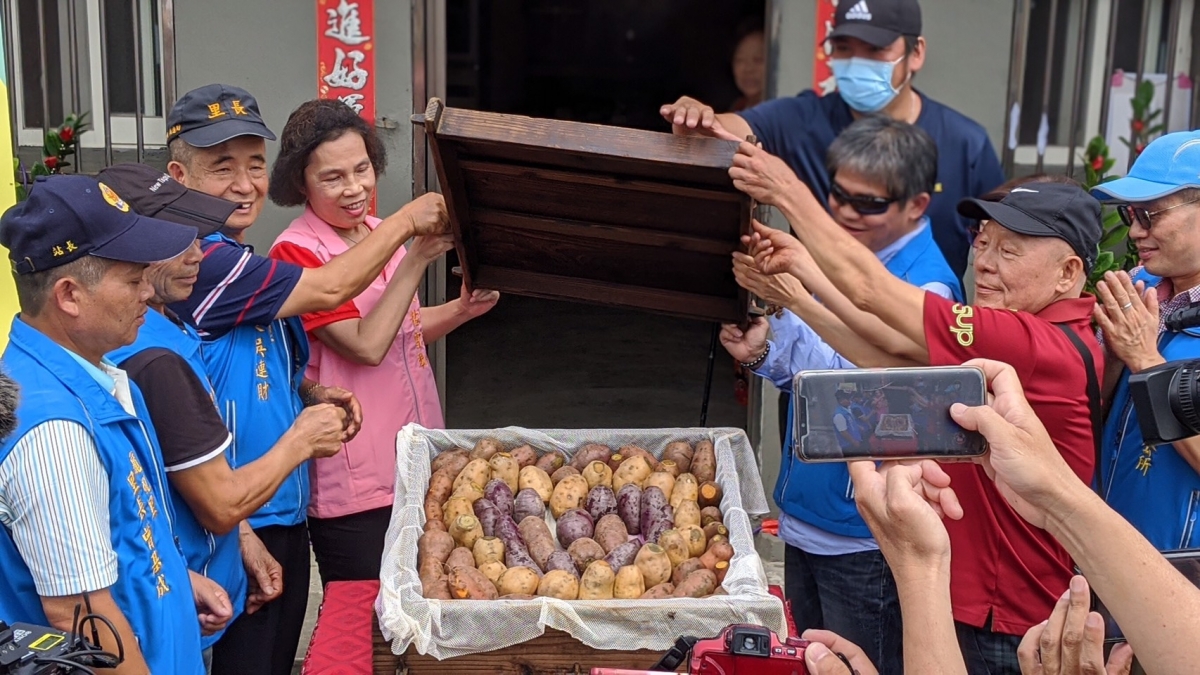 現場品嚐四大天王地瓜2