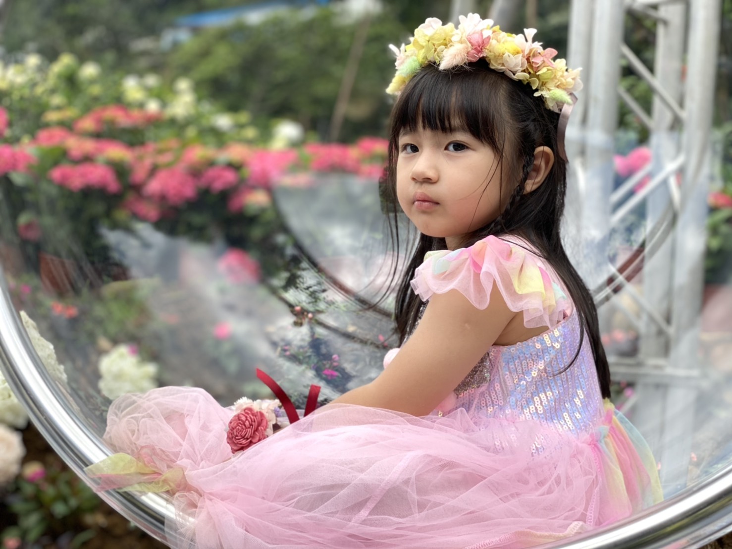 2021萬里區繡球花季4