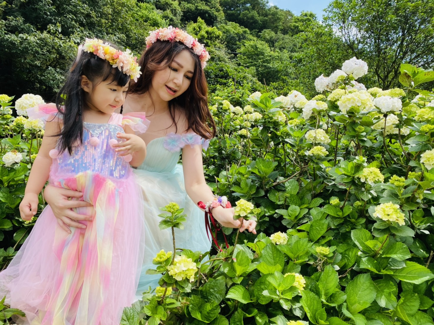 2021萬里區繡球花季5