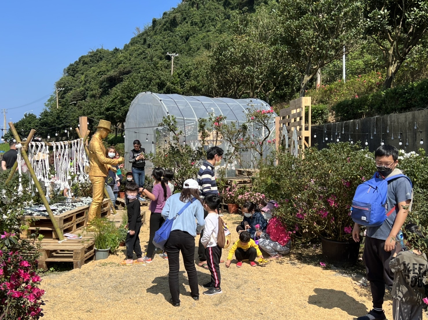 萬金杜鵑19