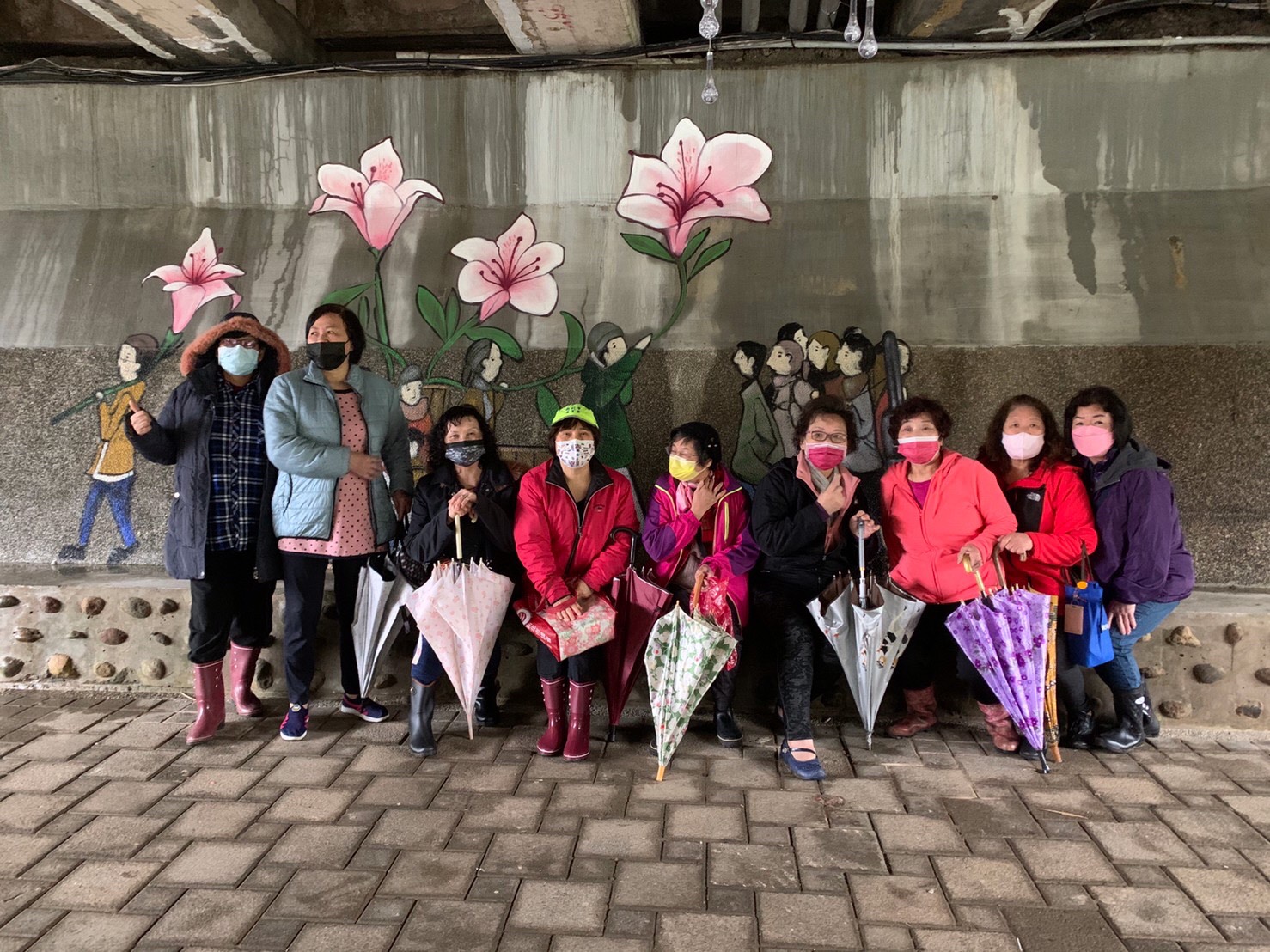 萬金杜鵑20