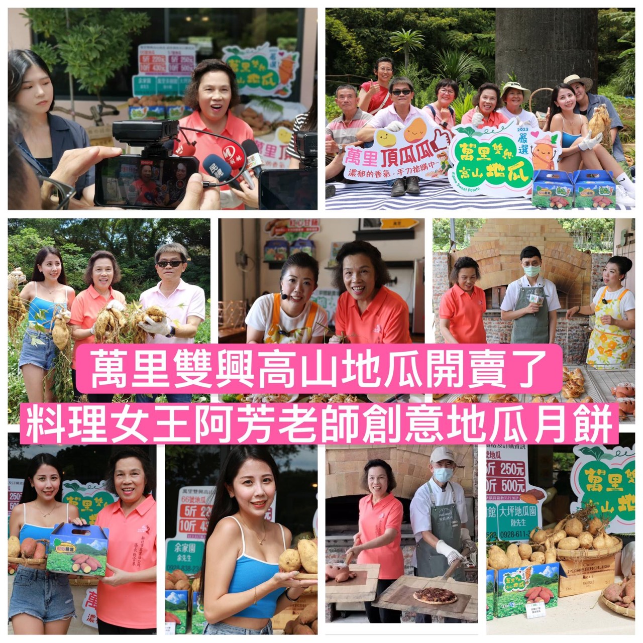 2023萬里雙興高山地瓜開賣了