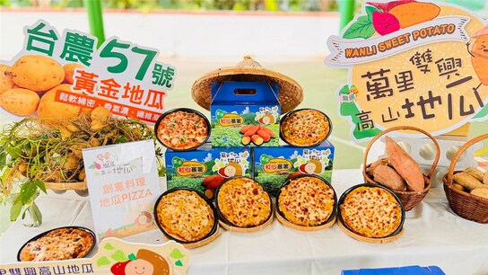 萬里雙興高山地瓜-1(共6張照片)