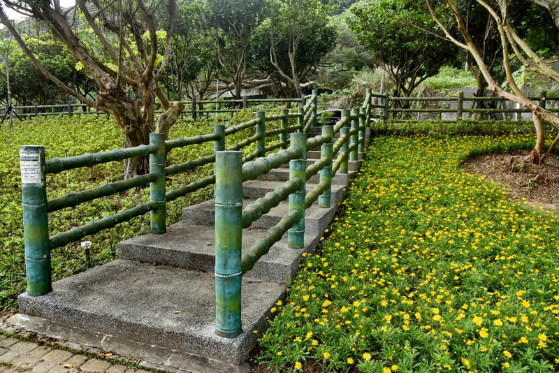 萬金杜鵑基地-8