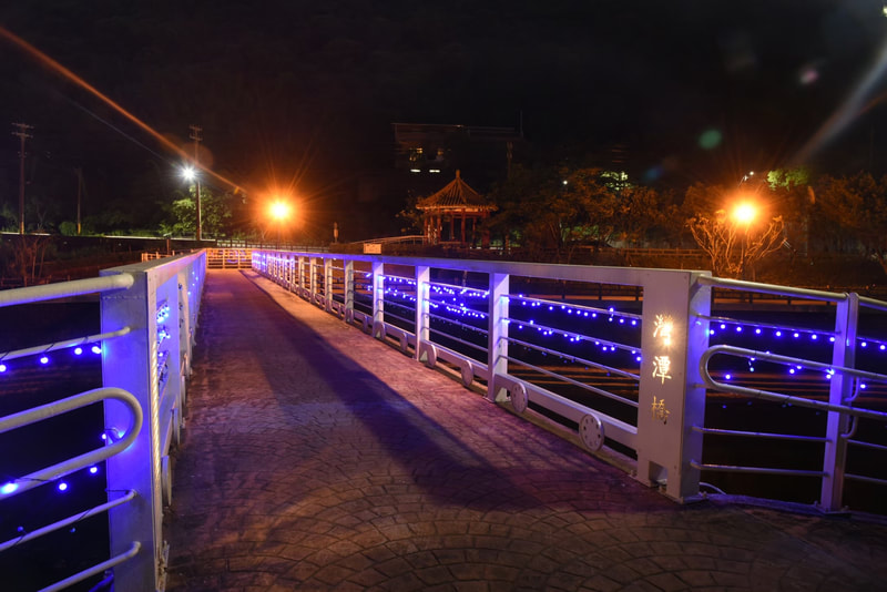 萬金杜鵑基地-12