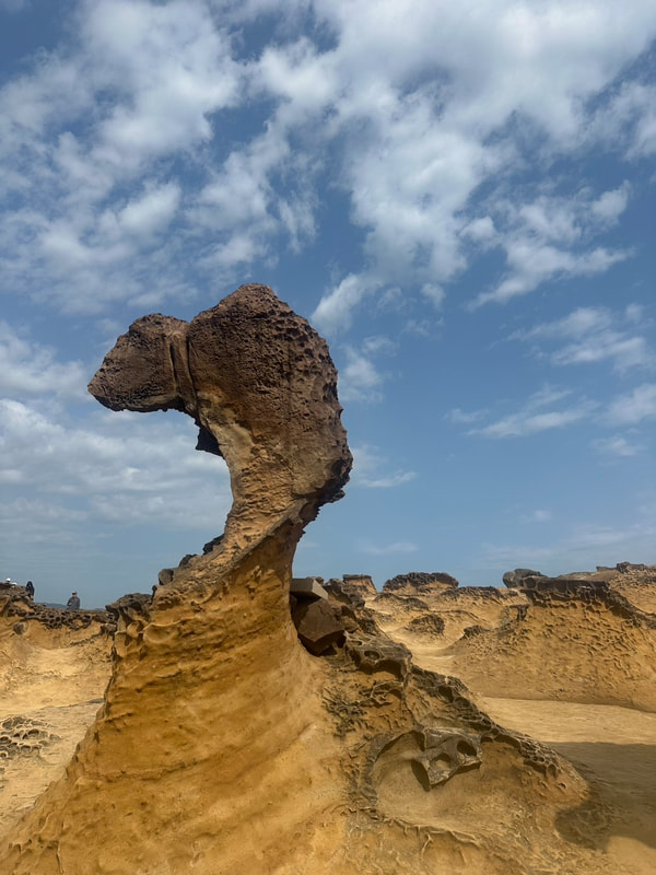 野柳地質公園-女王頭-1(共2張照片)