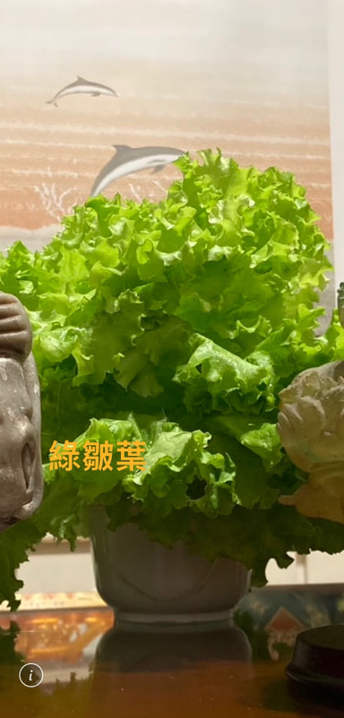 鵬展旅行社-麻斯嶺農場(武治之家)-2