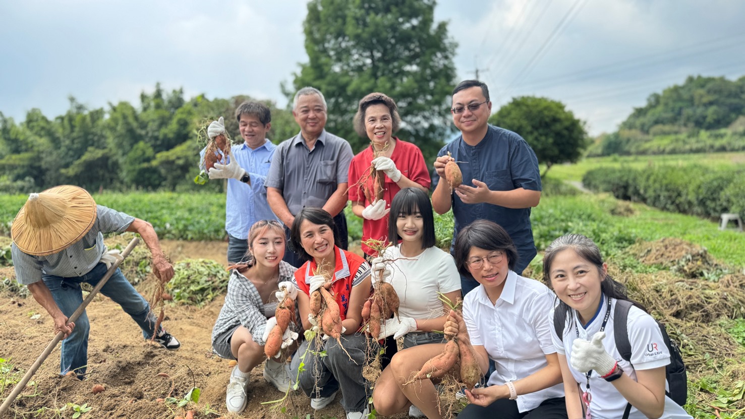 萬里雙興高山地瓜-1(共32張照片)