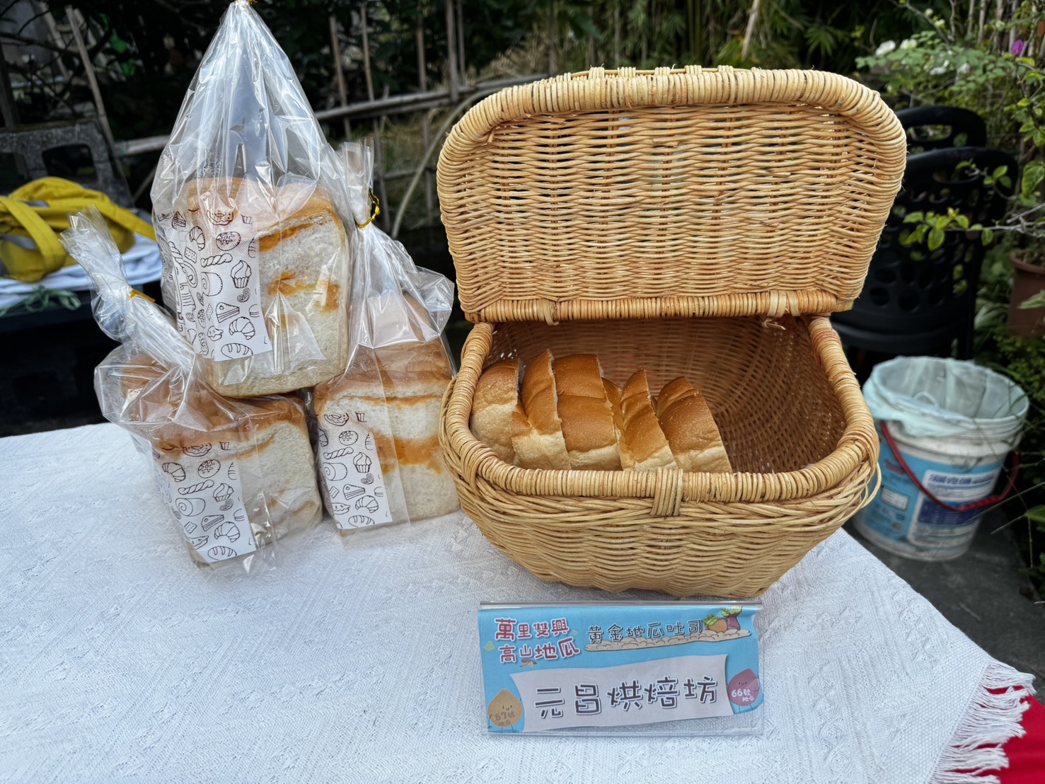 萬里雙興高山地瓜-19