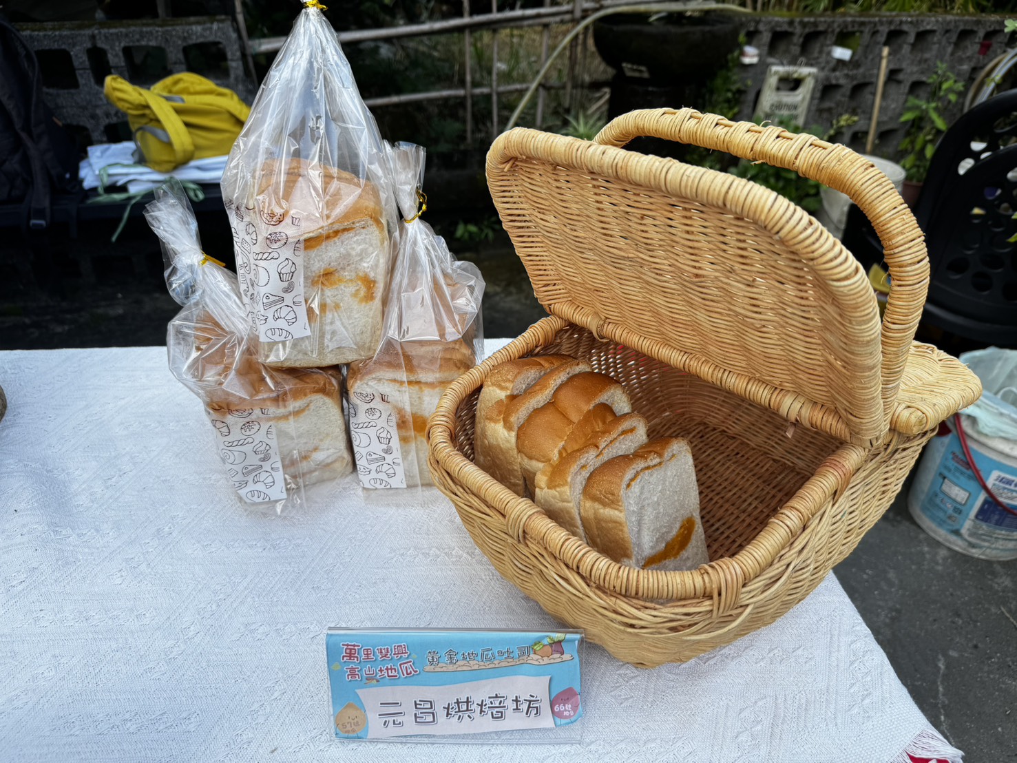 萬里雙興高山地瓜-20