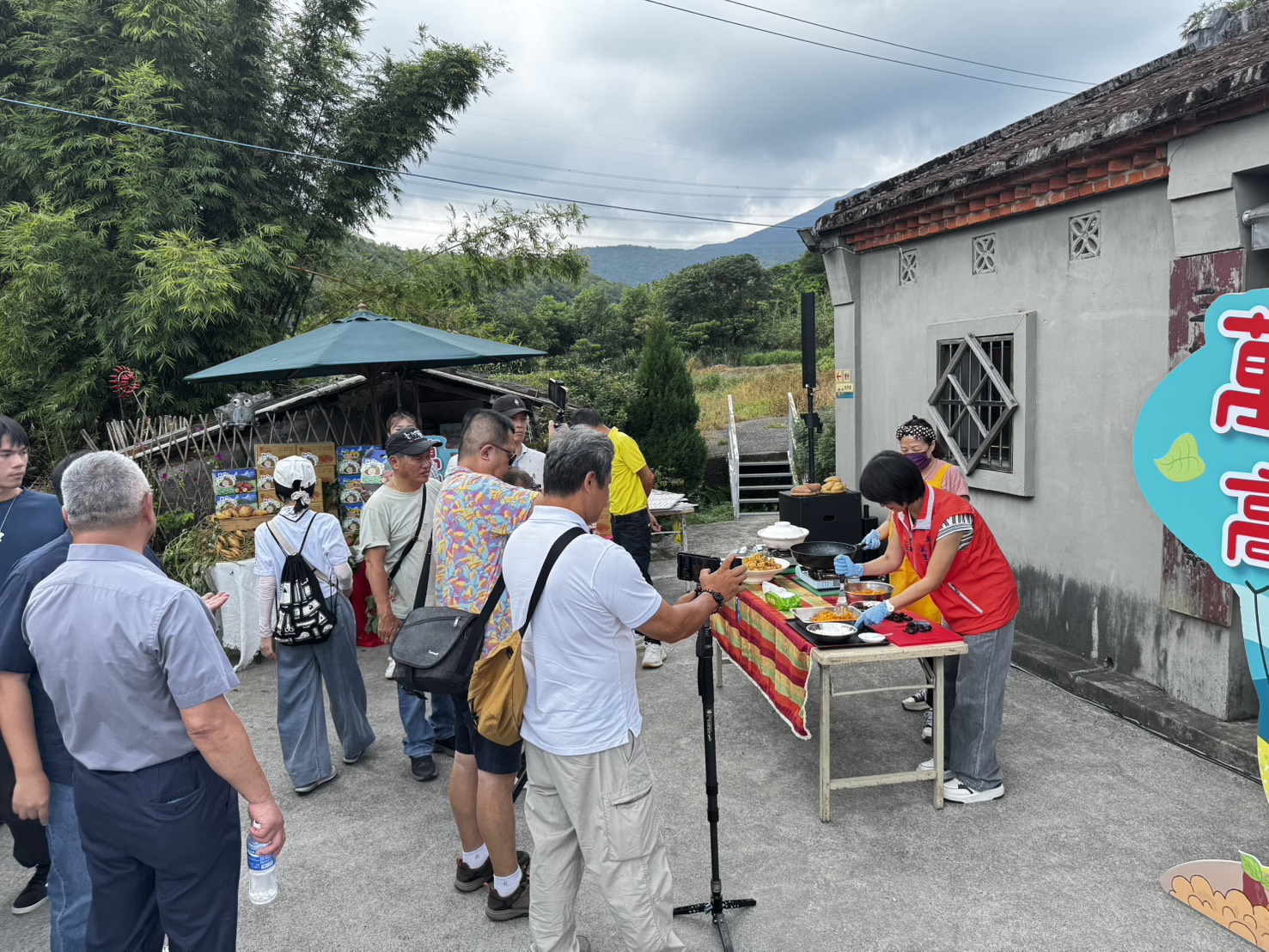 萬里雙興高山地瓜-29