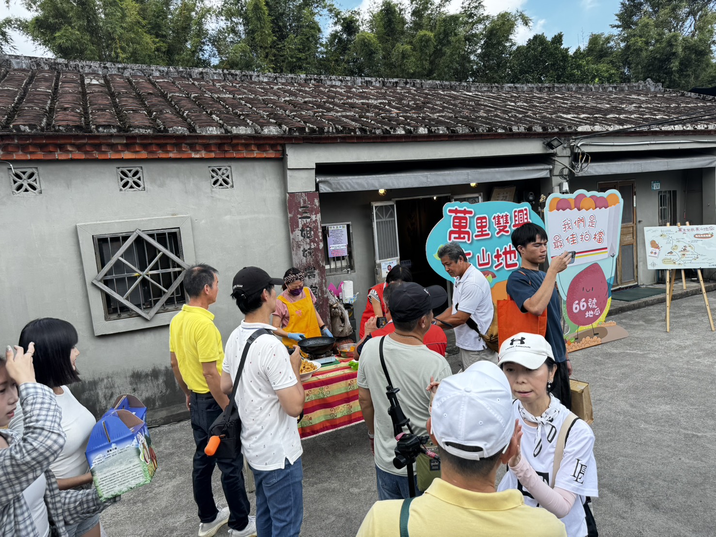 萬里雙興高山地瓜-30