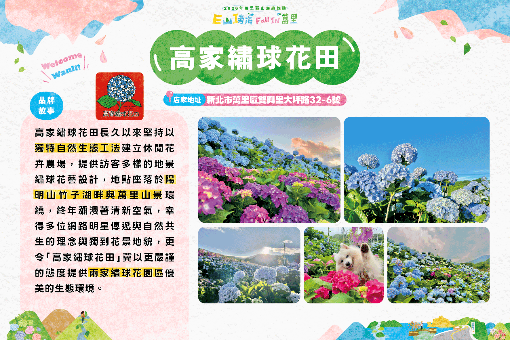 高家繡球花田