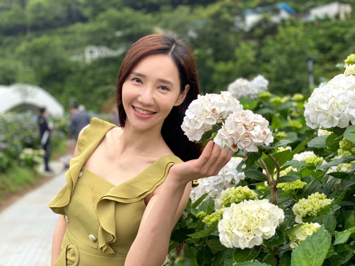 2024萬里繡球花季照片03