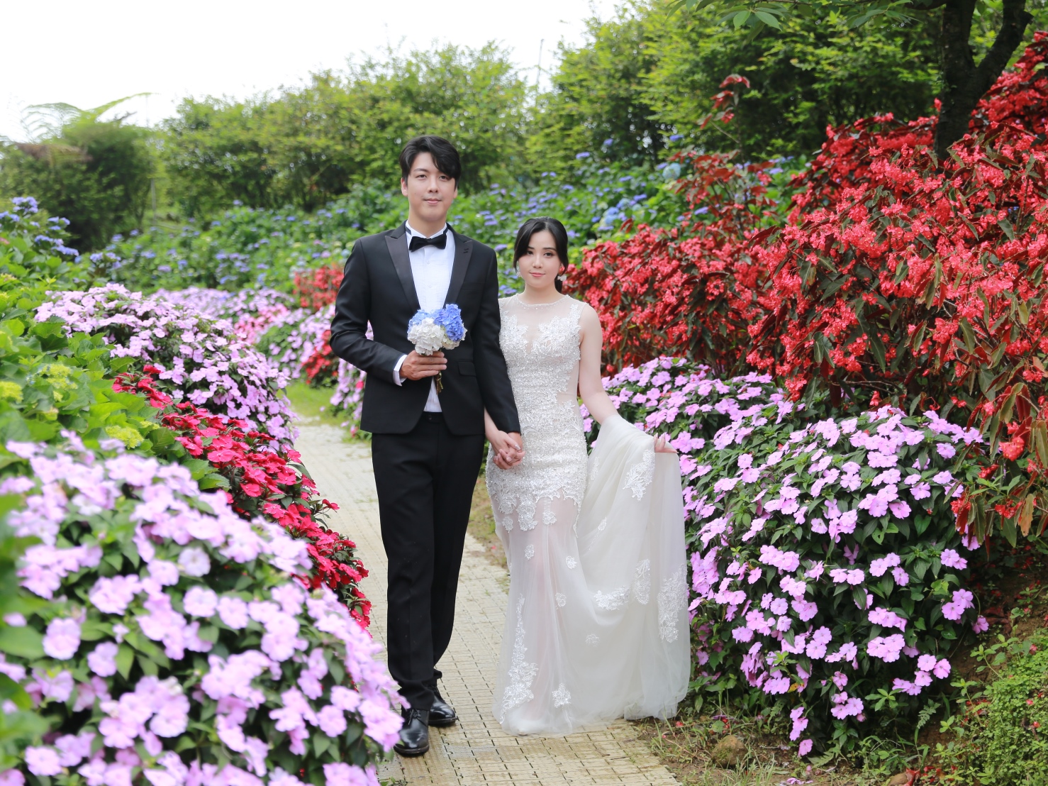 2024萬里繡球花季照片04